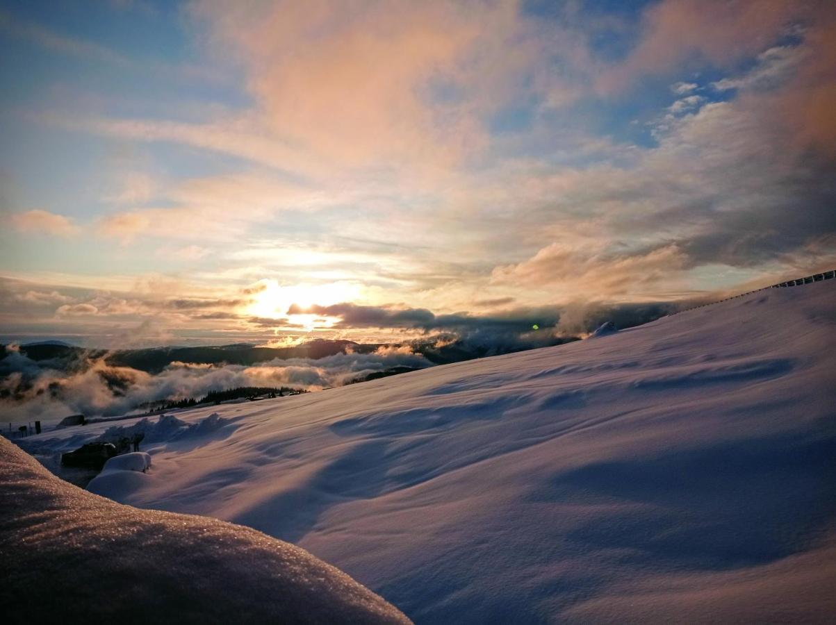 Cabana Transalpina Ranca Ngoại thất bức ảnh